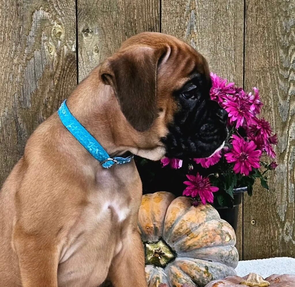 WhatsApp Image 2025-11-19 at 06.31.01_40813747