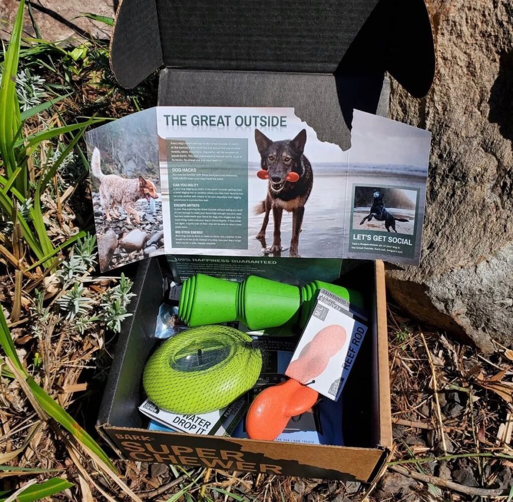 WhatsApp Image 2025-11-19 at 06.35.07_038e14cd