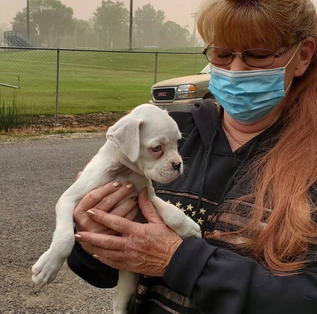 WhatsApp Image 2025-11-19 at 06.35.07_25460a50